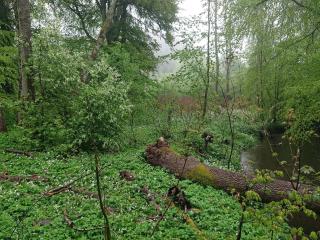 6 person holiday home in DEGEBERGA-By Traum - 3