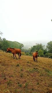 Sítio Canto do Monte - 3