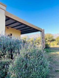 Finca La Linda - 8