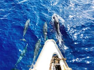 sanblasonsailboats - 3