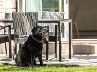 2 Bed in St. Mellion 87705 - St Mellion - 8