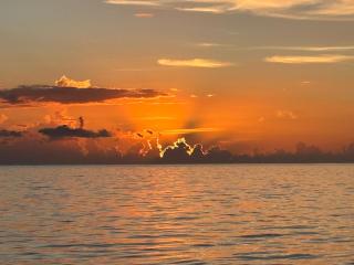 Unusual night in catamaran with dinner - 2