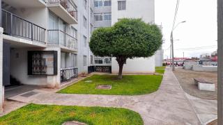 Acogedor departamento en La Serena - 9