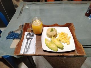 Hotel-ECOPOSADA KARANÁ NATIVA, SONIDOS DE LA SELVA - 1