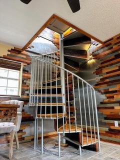 Birds' Nest - 1