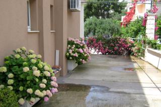 Apartments by the sea Podgora, Makarska - 2615 - 2