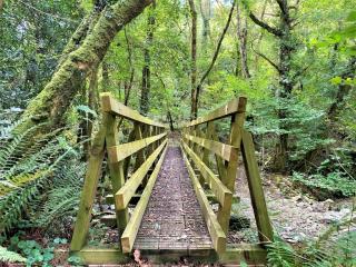 1 Bed in Exmoor National Park 89766 - 9