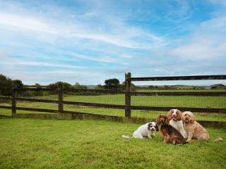 3 Bed in Constantine CONWI - 7