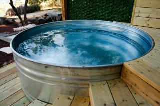 צימרבוס כנרת Galilee Bus - 4