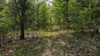 Private Secluded House 12 ac Nature Forest Retreat - 6