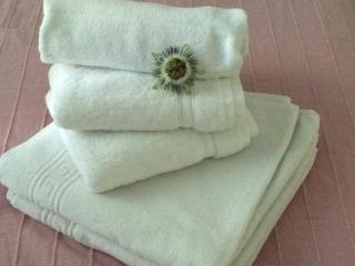 Chambres Les Passiflores - Saint-Palais-sur-Mer - 7
