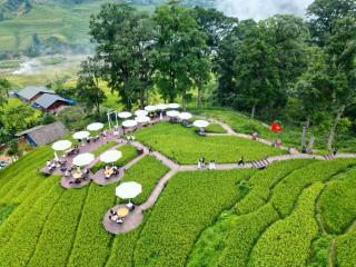 MT House Sa Pa - Mountain & Terraced fields View And Trekking Tour - 5