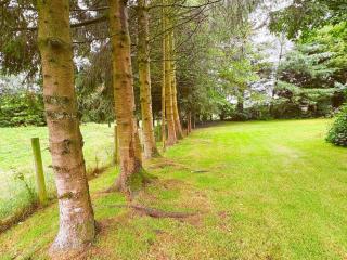 2 Bed in Bude DBANK - 8