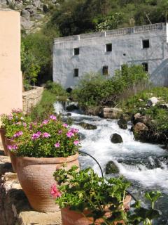 Molino Del Santo - Benaoján - 6