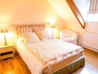 Élégante chambre d'hôte au bord de la Loire, proche Paris - FR-1-590-321 - 8