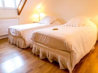 Élégante chambre d'hôte au bord de la Loire, proche Paris - FR-1-590-321 - 2