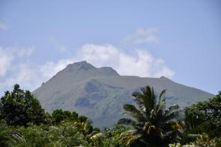 O Logis du Morne Jacob, "CANNELLE" Le Morne Rouge Martinique - Le Morne Rouge - 1