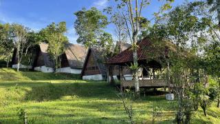 Mountain View Eco Lodge - 1