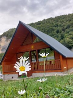 Kinchkha cottage Fshuqebi - კინჩხის კოტეჯი ფშუქები - 0