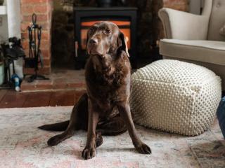 6 Bed in Rye 93953 - 1