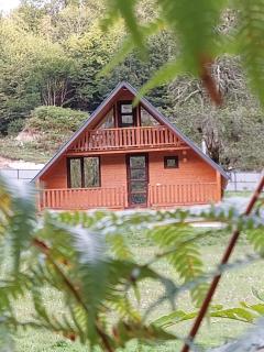 Kinchkha cottage Fshuqebi - კინჩხის კოტეჯი ფშუქები - 3