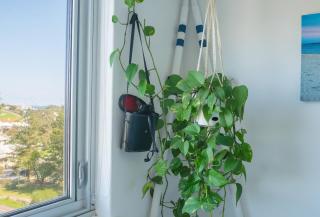 A Little Slice of Fremantle One Bedroom Character Apartment - 2