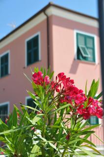 Villaggio La Piana - Cervo - 9