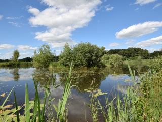 2 Bed in Thetford 64075 - 2