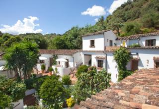 Molino Del Santo - Benaoján - 9
