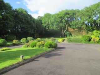 PK Lodge Bed and breakfast - Skibbereen - 4