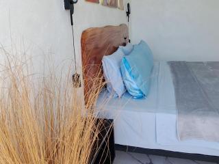Bougainvillea guesthouse - 4