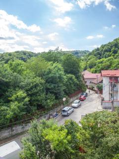 Vila Victoria - Râmnicu Vâlcea - 3