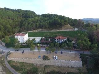 Hotel Elvis - Tirana - 1