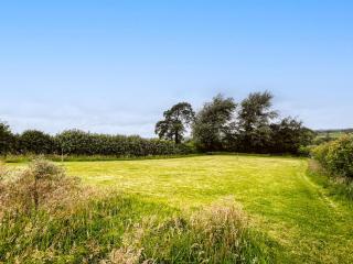 3 Bed in Shebbear 89311 - 7