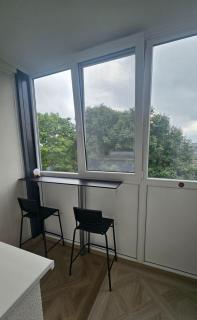 Kauno street apartaments - Klaipėda - 3