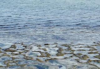 Shelly Bay Resort - 5