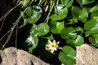 B&B Mare E Sole - Brindisi - 3