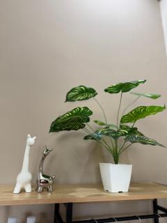 Sora Home - your private sky - 1