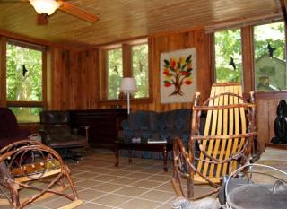 Eco-Friendly Cabin Rental in the Heart of the Smoky Mountains, North Carolina - 9