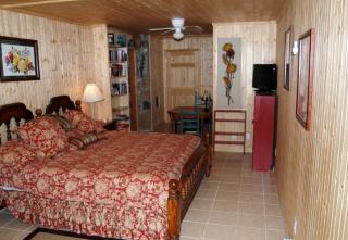 Eco-Friendly Cabin Rental in the Heart of the Smoky Mountains, North Carolina - 7