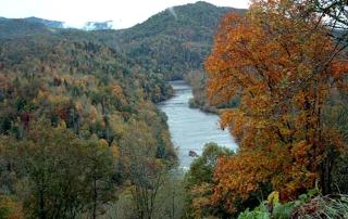 Eco-Friendly Cabin Rental in the Heart of the Smoky Mountains, North Carolina - 6