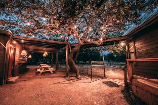 Amazing Dripping Springs Ranch for the Ultimate Texas Hill Country Getaway - 5