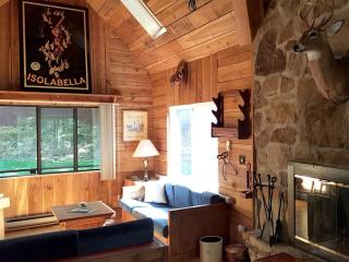 Family-Friendly Cabin Rental Nestled Among the Mountains of Champion, Pennsylvania - 4