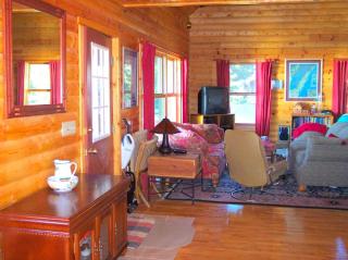 Fantastic Lakeside Log Cabin Rental for Six in Cedar River, Michigan - 9