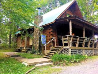Stunning Pet-Friendly Cabin Rental near Charleston, West Virginia - 0