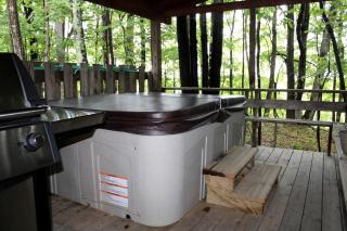 Stunning Pet-Friendly Cabin Rental near Charleston, West Virginia - 6