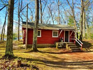 Secluded Lakeside Cabin in the Heart of the Manistee National Forest, Michigan - 5
