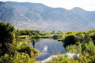 Luxury Safari Tents for Groups Only on Ranch near DeBeque, Colorado - 7
