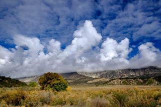 Luxury Safari Tents for Groups Only on Ranch near DeBeque, Colorado - 4
