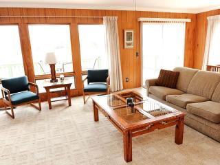 Luxury Lakefront Cabin Rental on Clear Lake in Ogemaw County, Michigan - 2